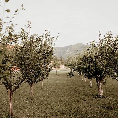 Вилла Vikendica Castanea Banja Zdrelo Петровац-на-Млави Экстерьер фото